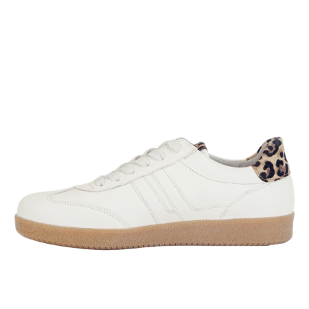 Gabor Sneakers multi color