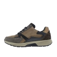 Gabor Sneakers taupe